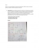 El Teorema de Norton