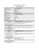 Brief de una empresa