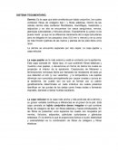 SISTEMA TEGUMENTARIO
