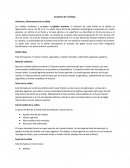 Anatomía de la Órbita