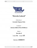 Conceptos fundamentales del Derecho Laboral