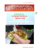 EMPRESA. CORAPOLLITOS “ MIJA”.SAC