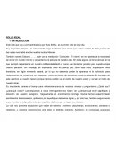 MCC Rollo ideal año 2022