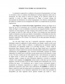 PERSPECTIVAS TEORICAS COGNOSCITIVAS