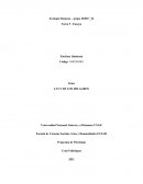 El ejercicio profesional, la ecología humana y el bienestar individual