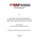 RIESGO LABORAL Y SU RELACION CON ENFERMEDADES PROFESIONALES EN EL SERVICIO DE HEMODIALISIS DEL HOSPITAL NACIONAL ALBERTO SABAGOL SOLOGUREN, CALLAO 2020