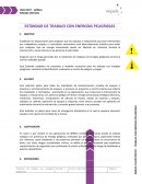 ESTÁNDAR DE TRABAJO CON ENERGÍAS PELIGROSAS