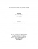 SOLUCION GUIA N°6 MODELO DE NEGOCIOS CANVAS