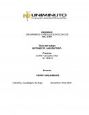 Informe de laboratorio “FOTOSINTESIS”