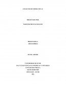 IMPORTANCIA DEL CONTROL INTERNO Y LA REVISORIA FISCAL