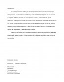 Reflexión sobre mis habilidades