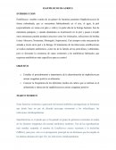 ESTAFILOCOCOS AUREUS