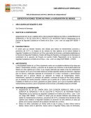 PERITAJE ACCIDENTE VEHICULAR