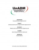 MODELOS DE COMPORTAMIENTO ORGANIZACIONAL