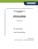DIRECCION Y LIDERAZGO EN LAS ORGANIZACIONES
