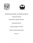 Laboratorio de ingeneria quimica ii practica 6