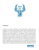 La protección de los Derechos Humanos en el sistema de Naciones Unidas