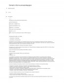 Modelo informe psicopedagógico