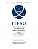 CONSULTORIA GREEN TEA