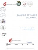 Composición química de los seres vivos
