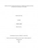 FORMULACION DE ALTERNATIVAS POLITICAS Y NORMATIVAS FORESTALES PARA CONSERVACION DE BOSQUE EN COLOMBIA
