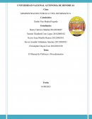 Administracion publica y politica informatica