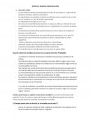 NOTAS DE QUIMICA INDUSTRIAL 2022