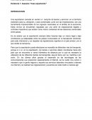 Asesoría “Caso exportación”