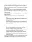 Las semillas modificadas genéticamente y su impacto en el mundo