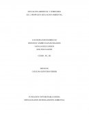 PROPUESTA EDUCACION AMBIENTAL