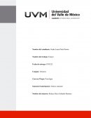 Ensayo Impacto social en la intervención profesional