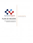 PLAN DE MEJORA ASSETS MANAGEMENT AND MAINTENANCE MANAGEMENT PROFESSIONALS S.A.S