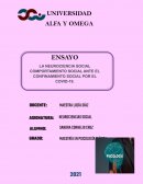 Ensayo Neurociencia Social
