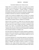 Funciones genéricas del trabajo social