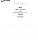 Ensayo Introduccion al Derecho Constitucional