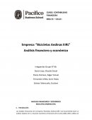 Empresa: “Bicicletas Andinas EIRL” Análisis financiero y económico