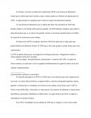 TÉCNICAS DE PCR