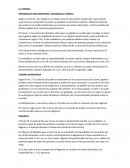 APUNTES CONSTITUCIONAL II