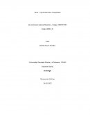 Aproximacion conceptual tarea 1 - sociologia