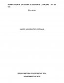 PLANIFICACION DE UN SISTEMA DE GESTION DE LA CALIDAD - NTC ISO 9001