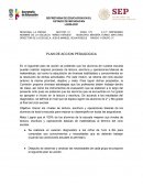 PLAN DE ACCION PEDAGOGICA