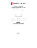 Informe Final - psicopatología