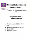 LA CULTURA DE LA ORGANIZACION