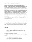 PEC PERCEPCION ESTIMACION DE MAGNITUDES