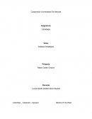 Caso Practico Análisis Estratégico Videojuegos SL