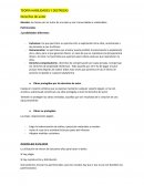 TEORÍA HABILIDADES Y DESTREZAS