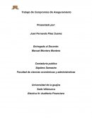 Síntesis De Compromiso De Aseguramiento