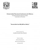 Desarrollo de las MIPyMES en México