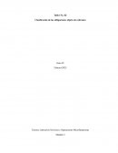 Clasificación de las obligaciones objeto de cobranza
