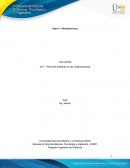 Teoría de Sistemas en las Organizaciones